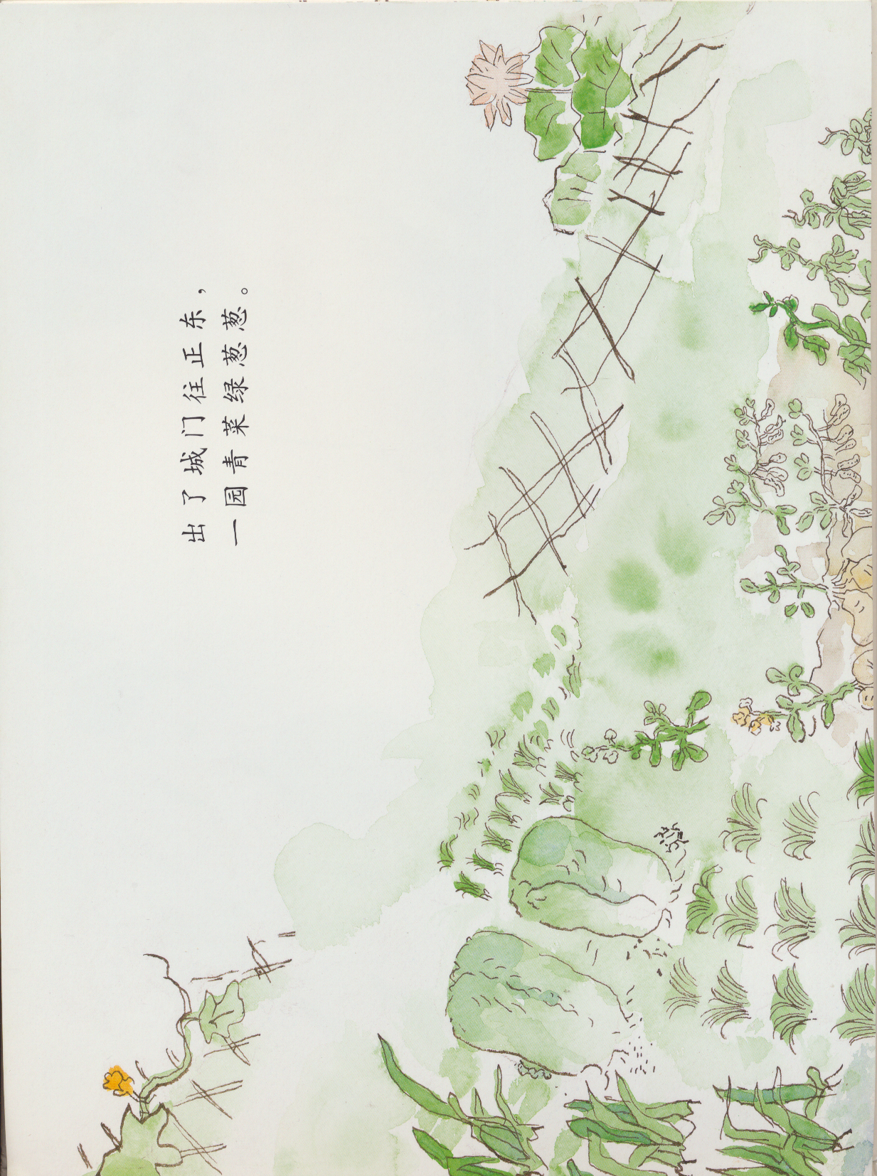 一园青菜成了精 (07),绘本,绘本故事,绘本阅读,故事书,童书,图画书,课外阅读